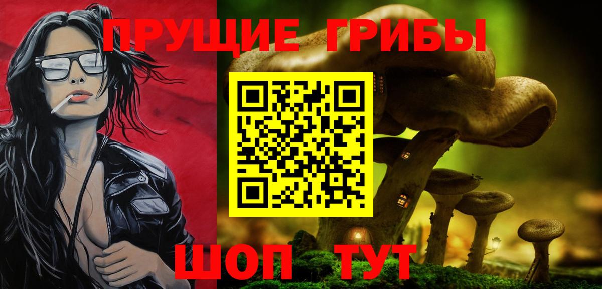 Псилоцибиновые грибы ЛСД  продажа наркотиков  Кисловодск  Вход с VPN 
