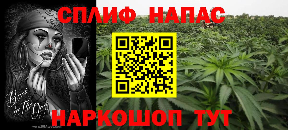 Шишки марихуана SATIVA & INDICA Кисловодск